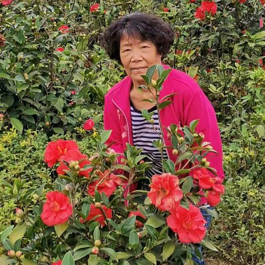 刘啊姨下午1：10开播