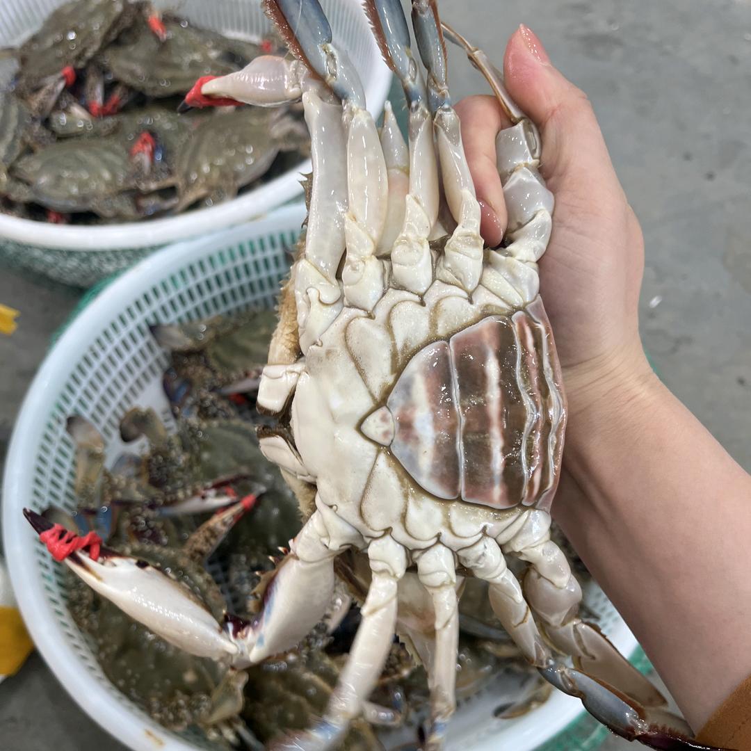 渤海渔村饭店