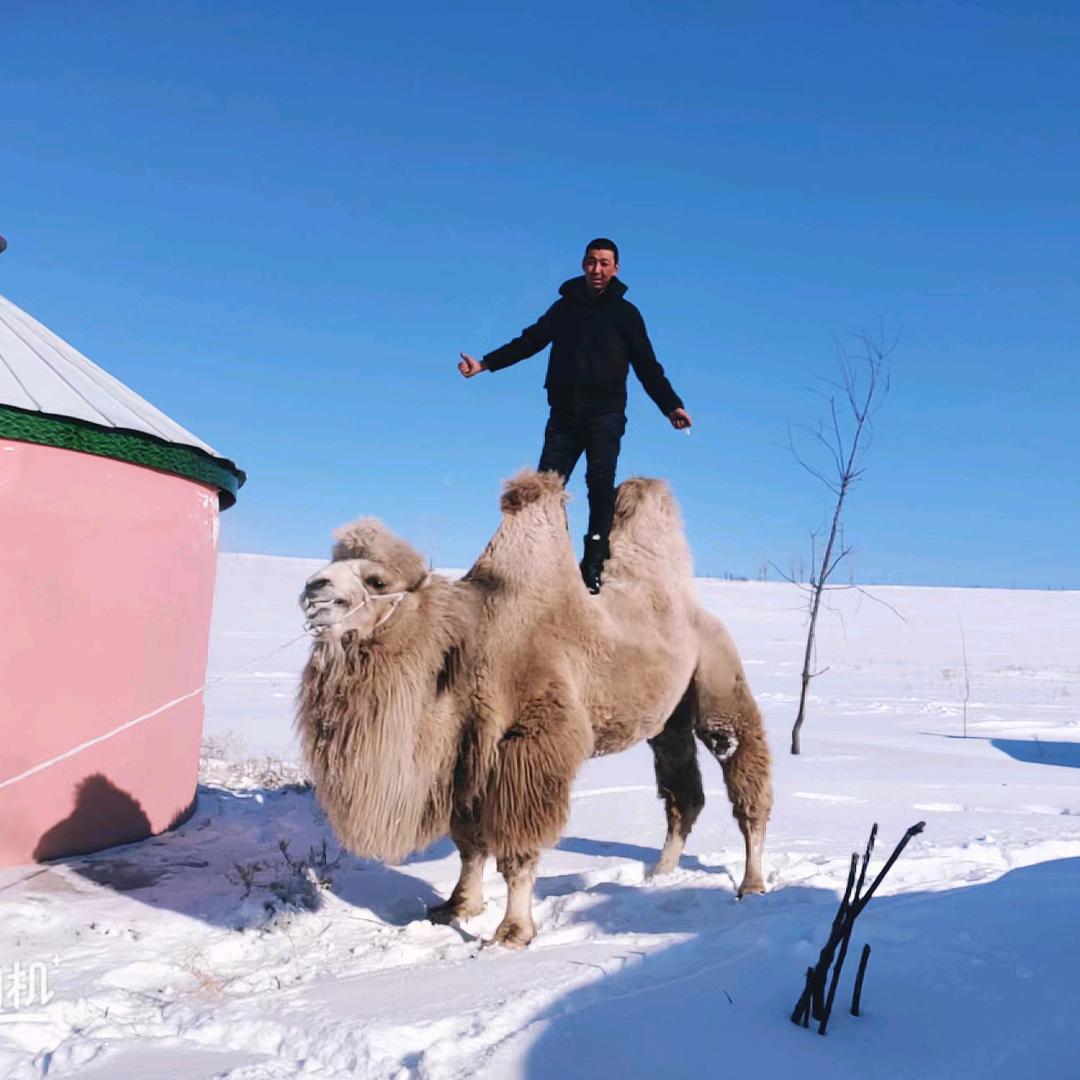 呼伦贝尔家庭牧场