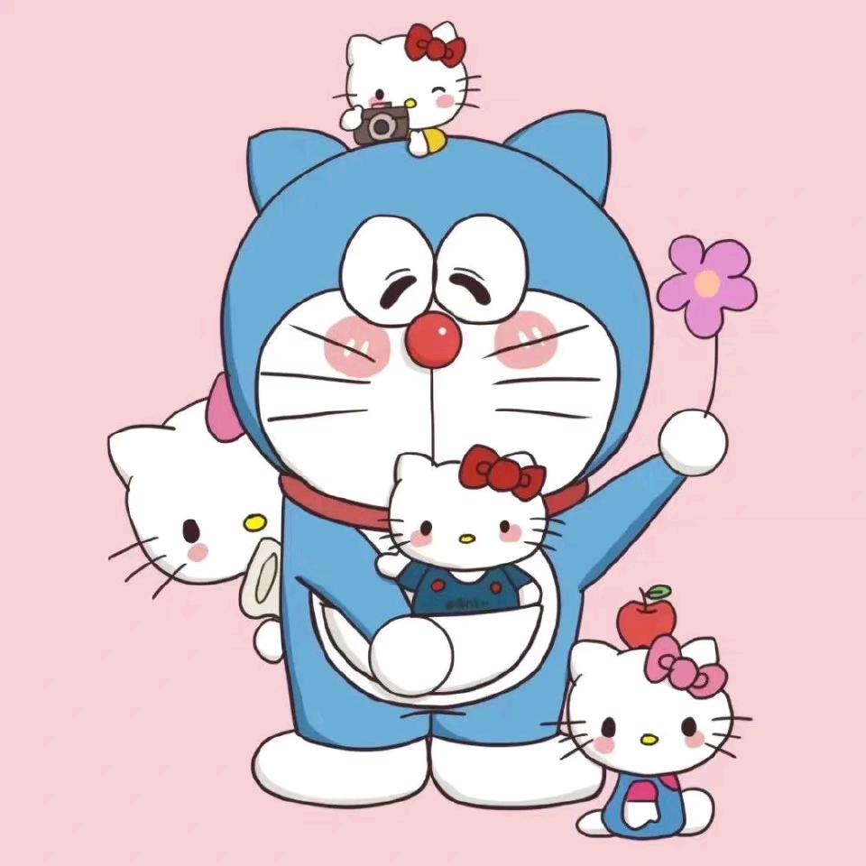 芋圆脑袋