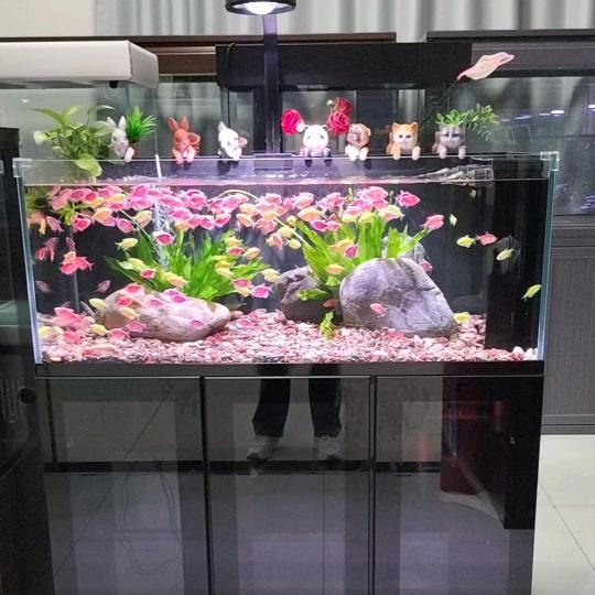 乌鲁木齐海峰水族