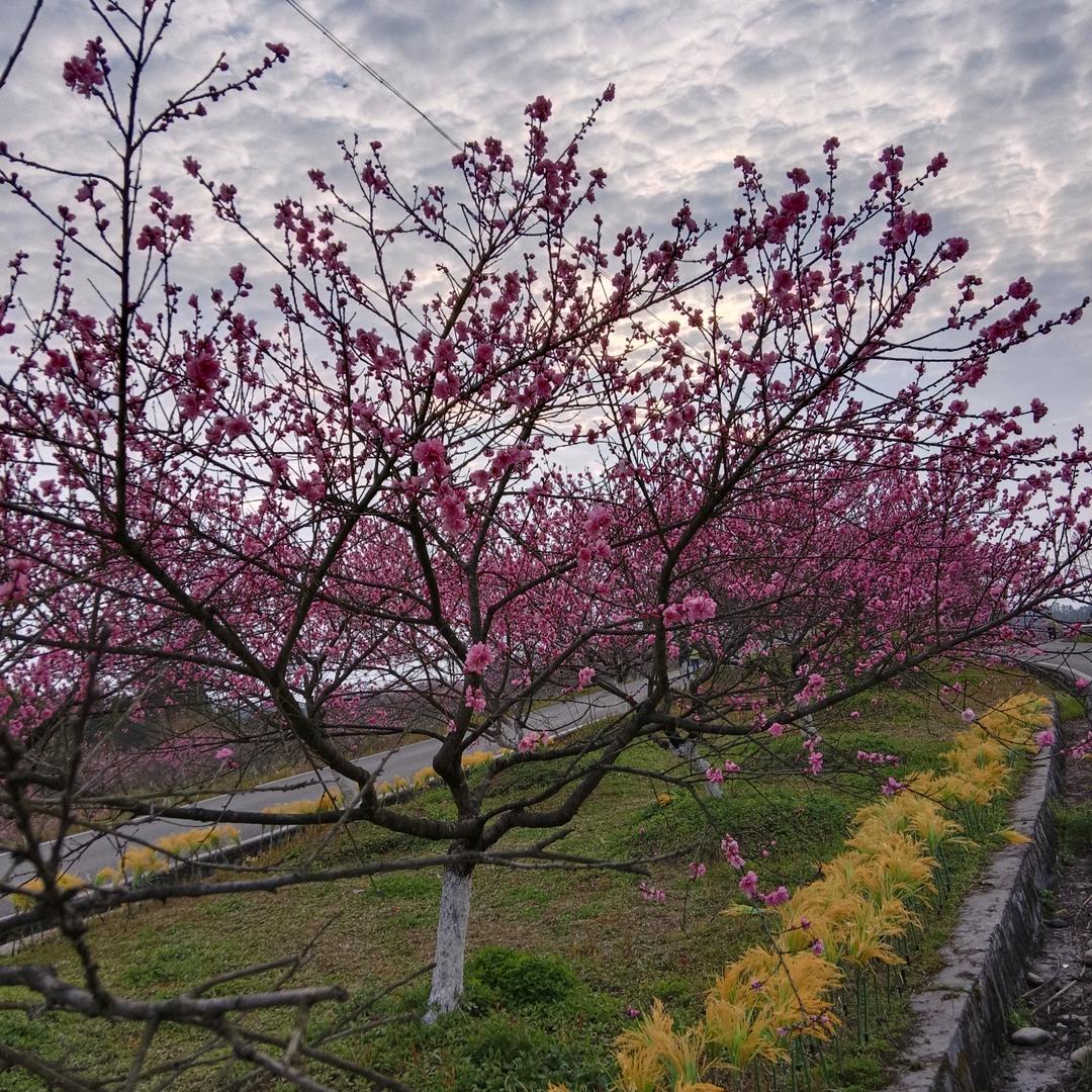 空城旧梦
