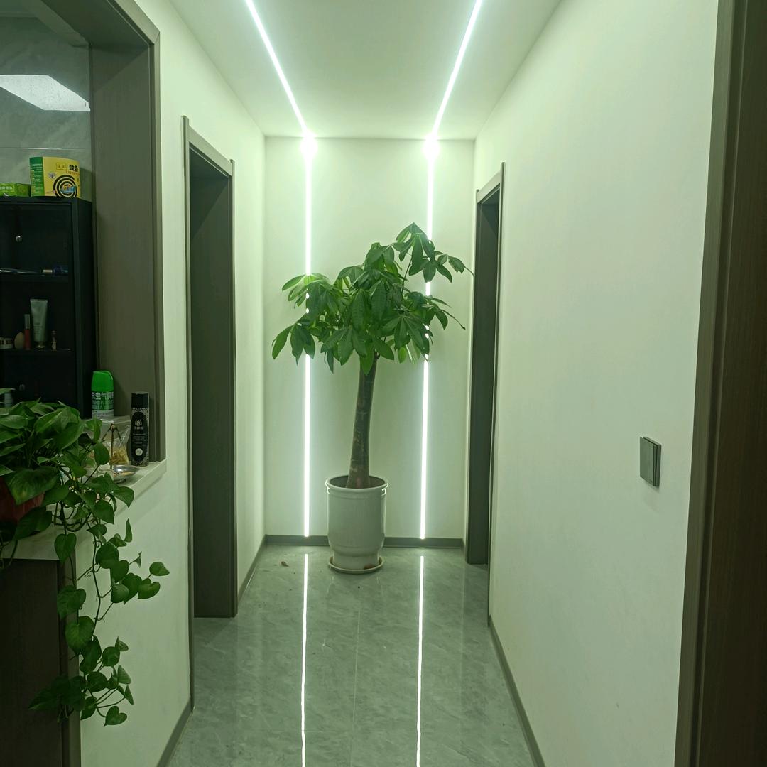春花秋月