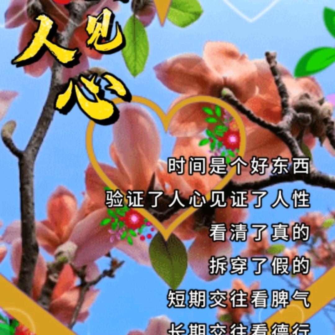 许玉