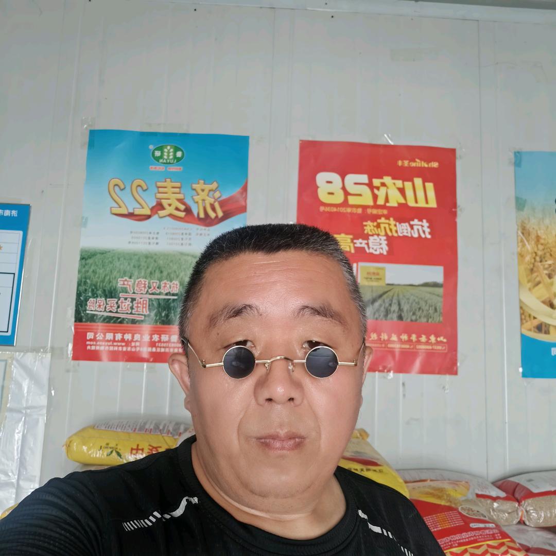 农科院玉米种子