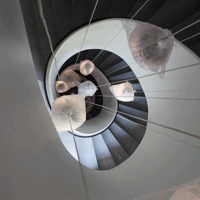 丽视智能科技-谢开灯