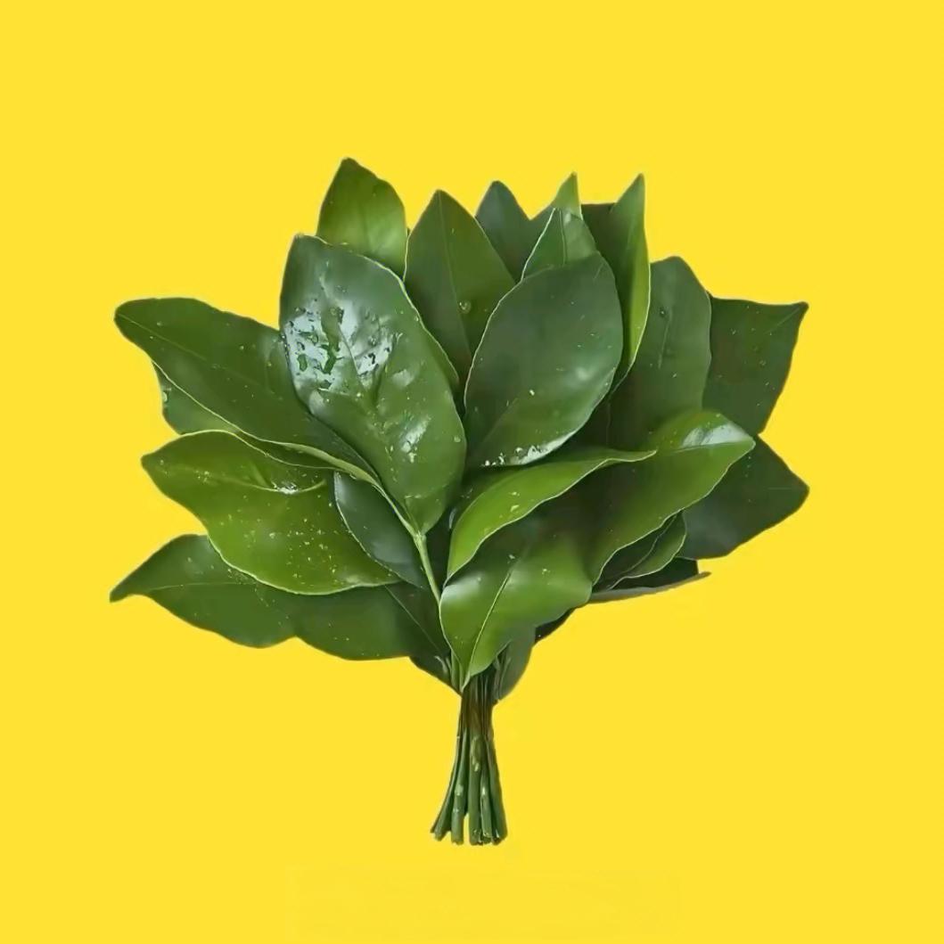 小棉袄妈妈☀️东北特产