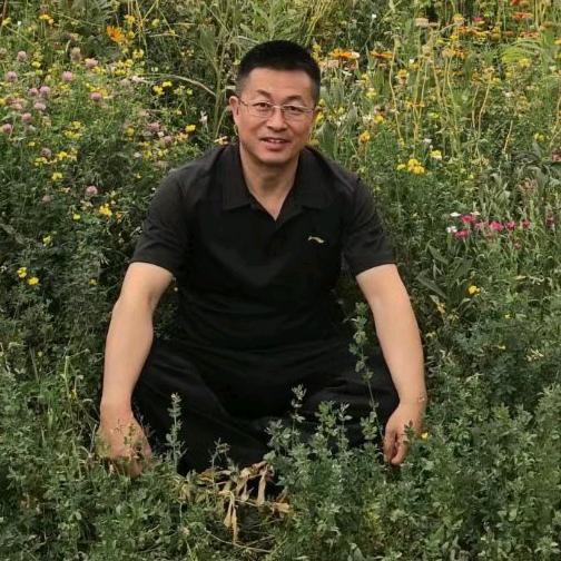 陈胜龙