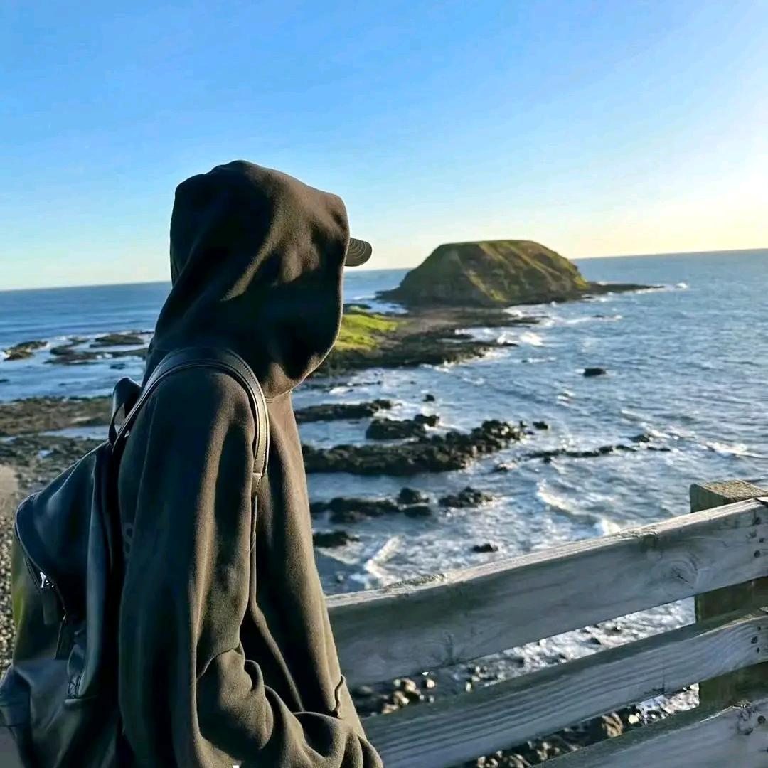 AAA金牌猪猪（三角洲行动）