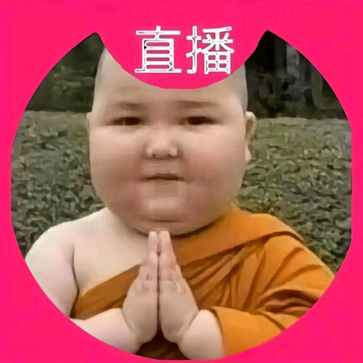 心旷神怡八爪鱼