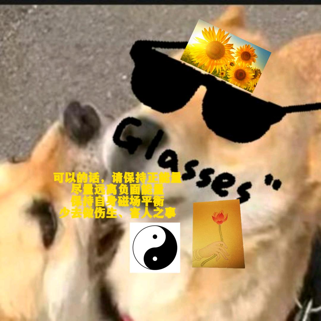 1585短视频