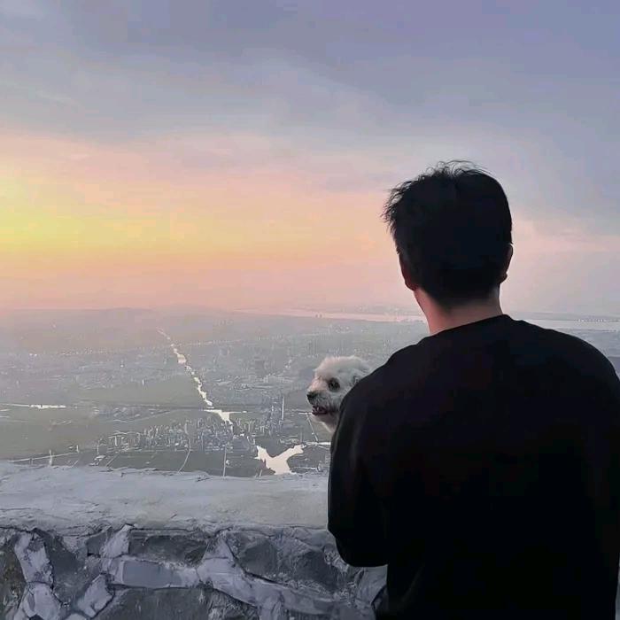苏苏