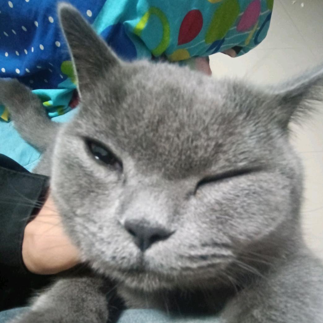 小忍
