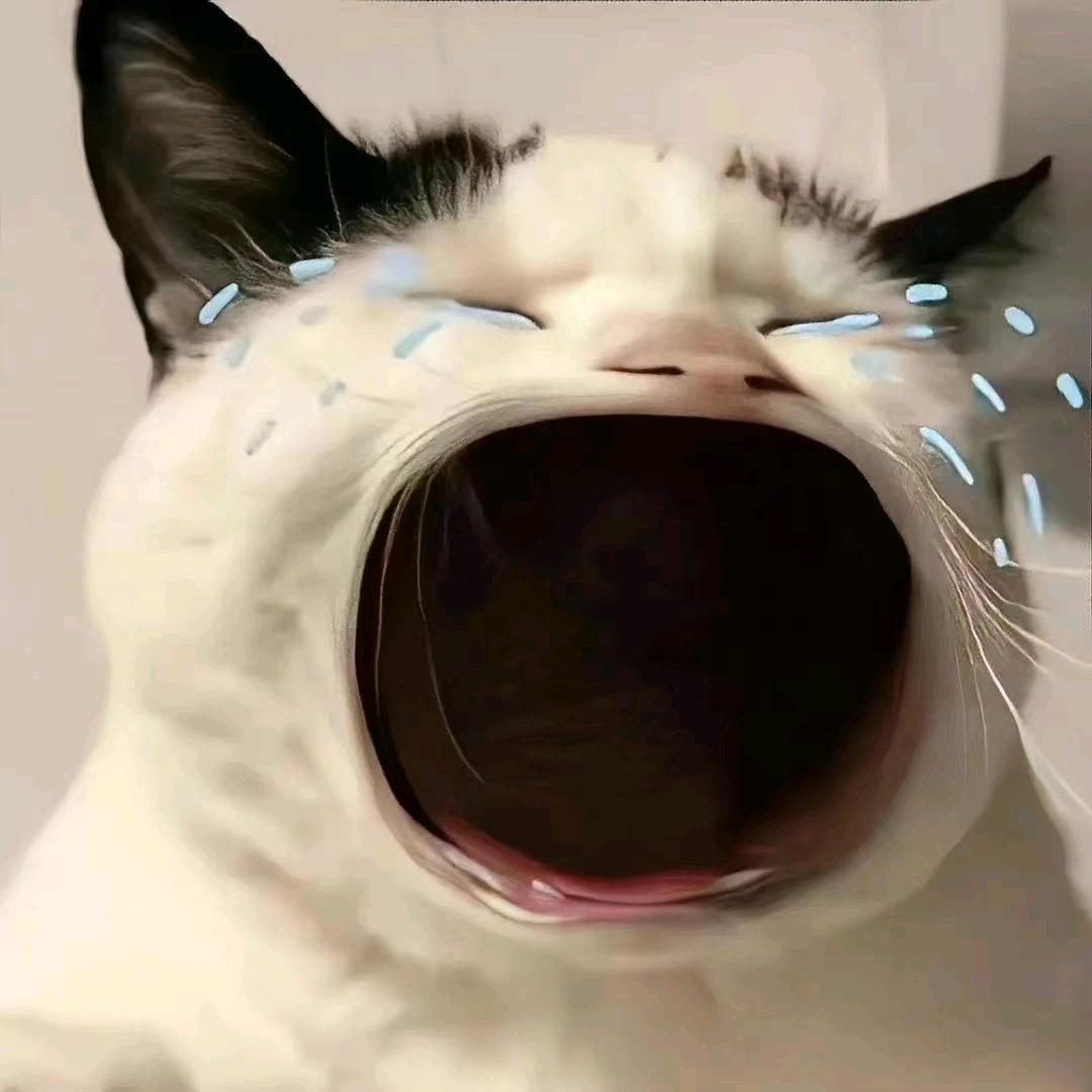 呆呀