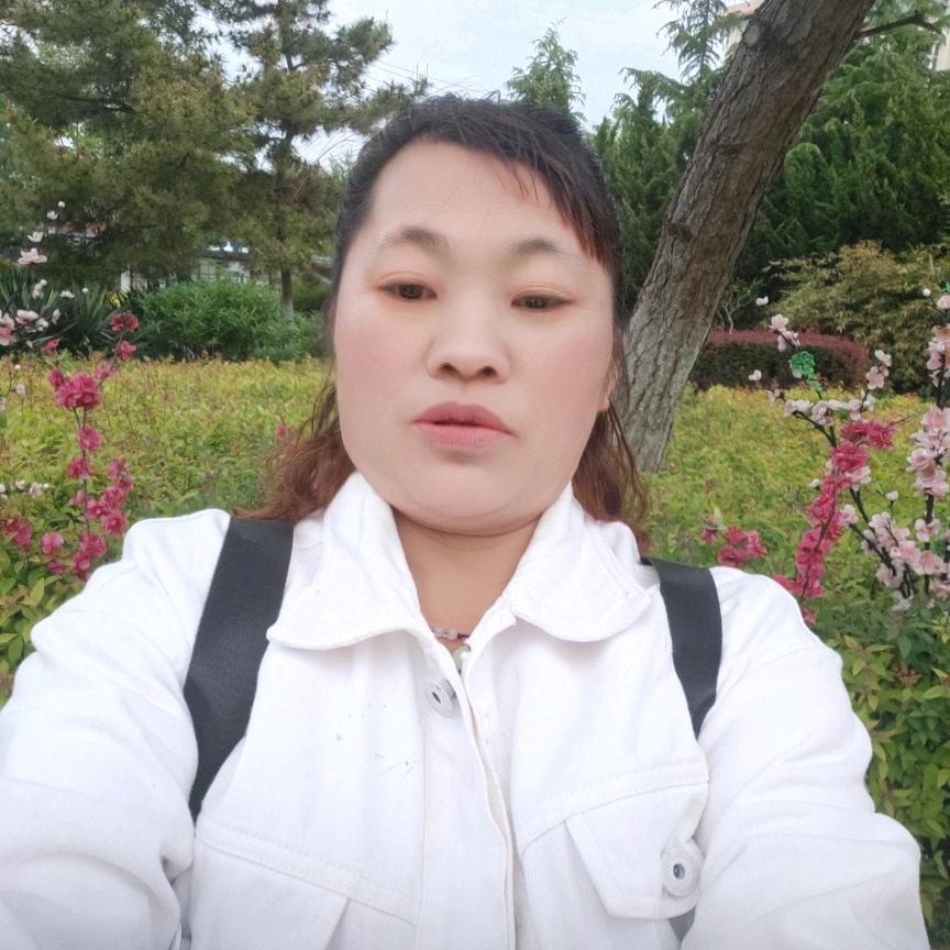天飞