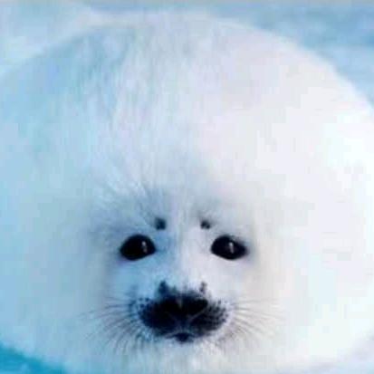 唯美的总是不完美