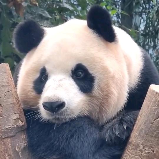 用户3695937899（拒绝私聊）