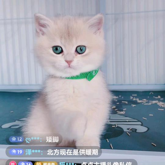 郭五妹