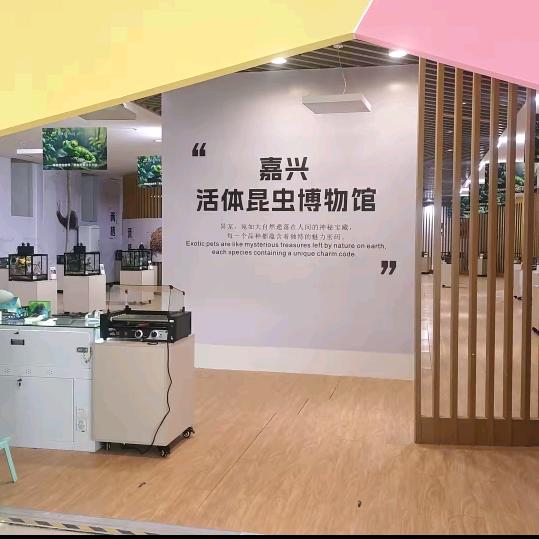 嘉兴活体昆虫博物馆