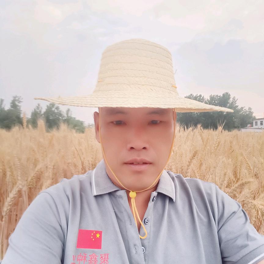 马庄寨农资（朝哥）