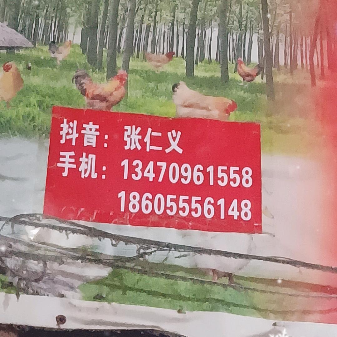 抖音张仁义