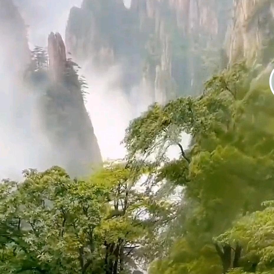 ☆空城\\旧梦☆