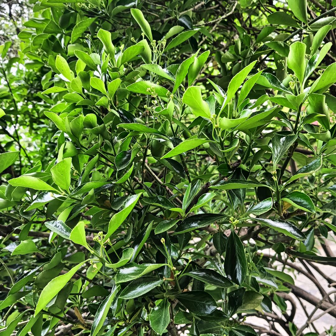 做一个心疼的人。