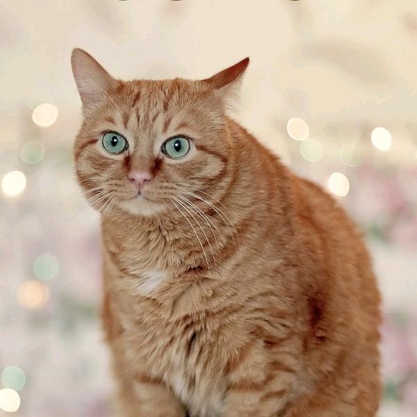 河北溪洲人力资源服务有限公司