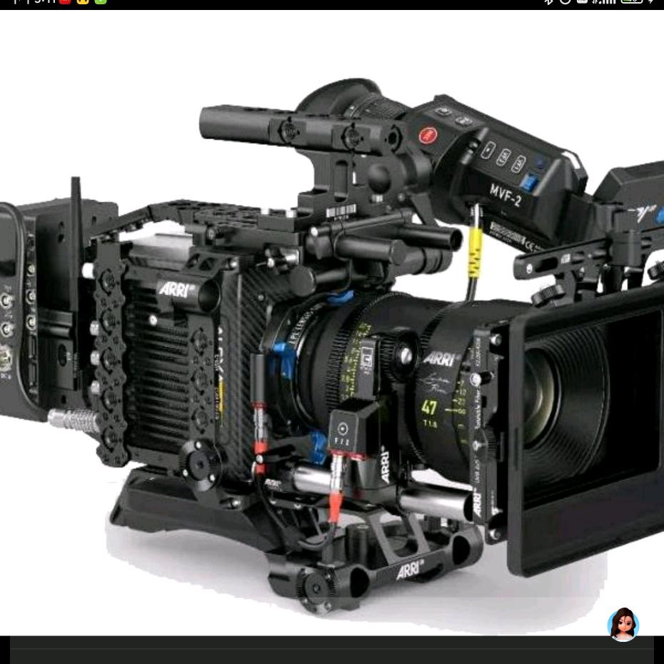 疯狂的石导二号