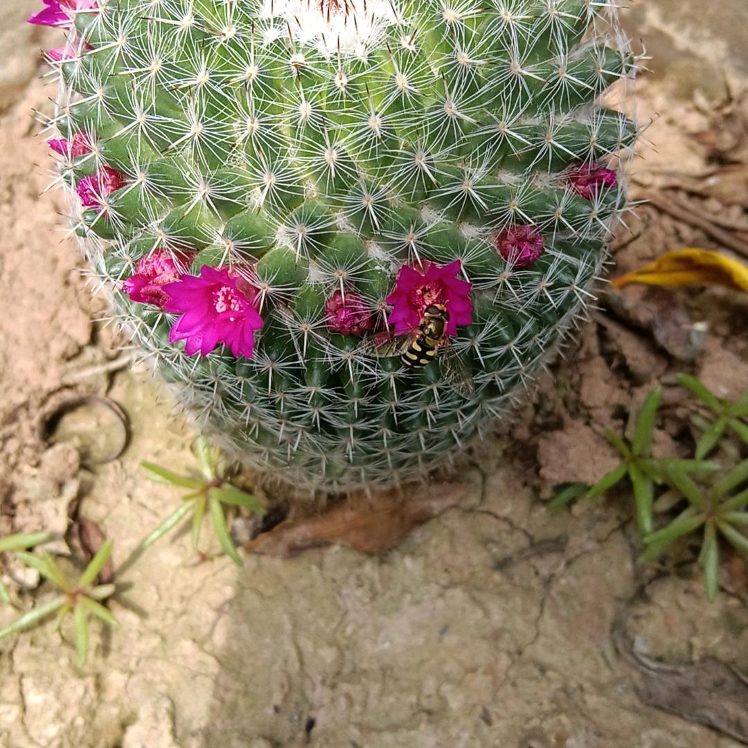 钰