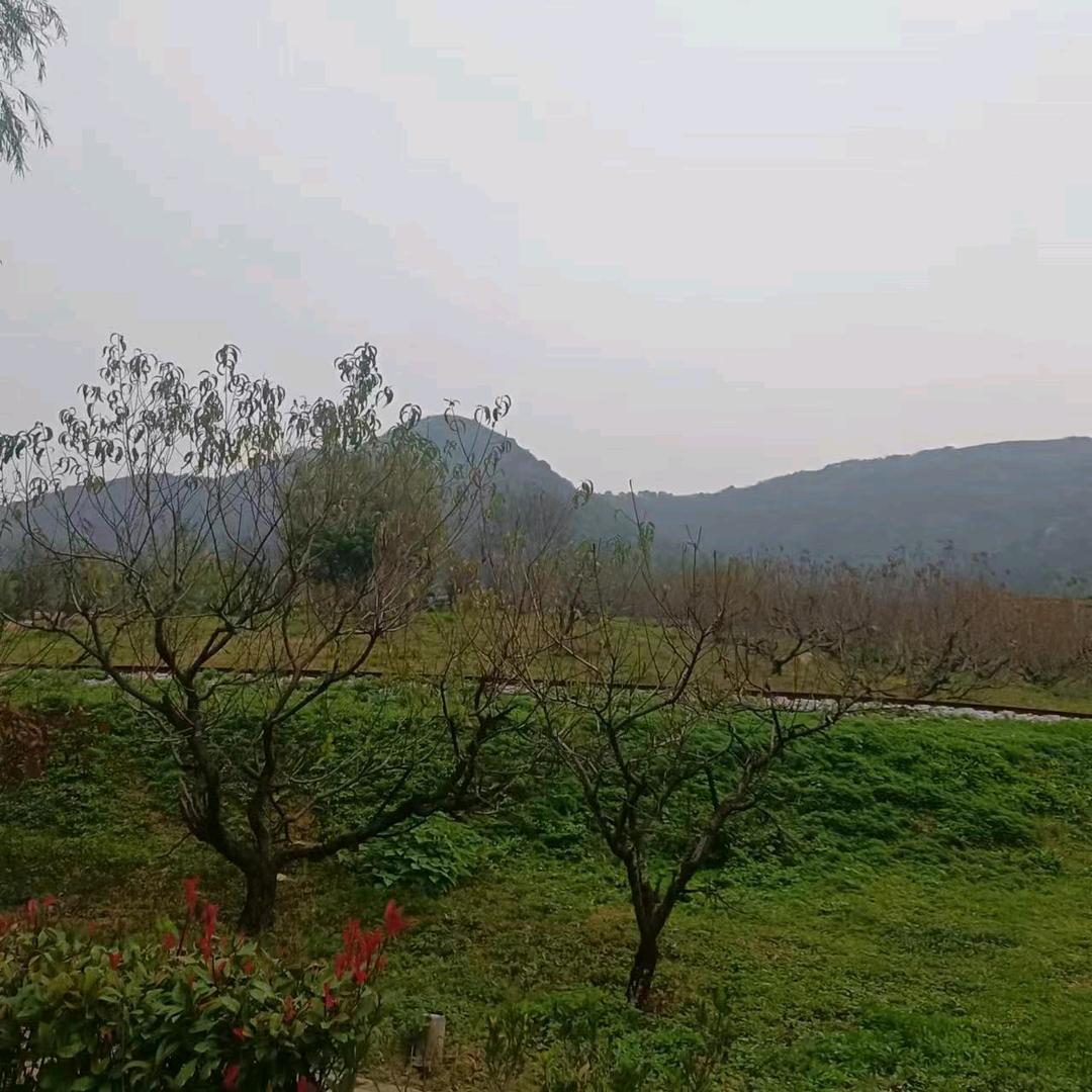 ～不离不弃