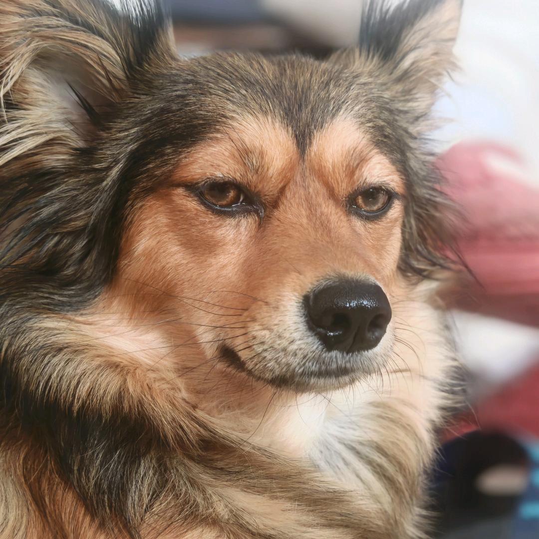 举杯邀明月，一起捡碎银