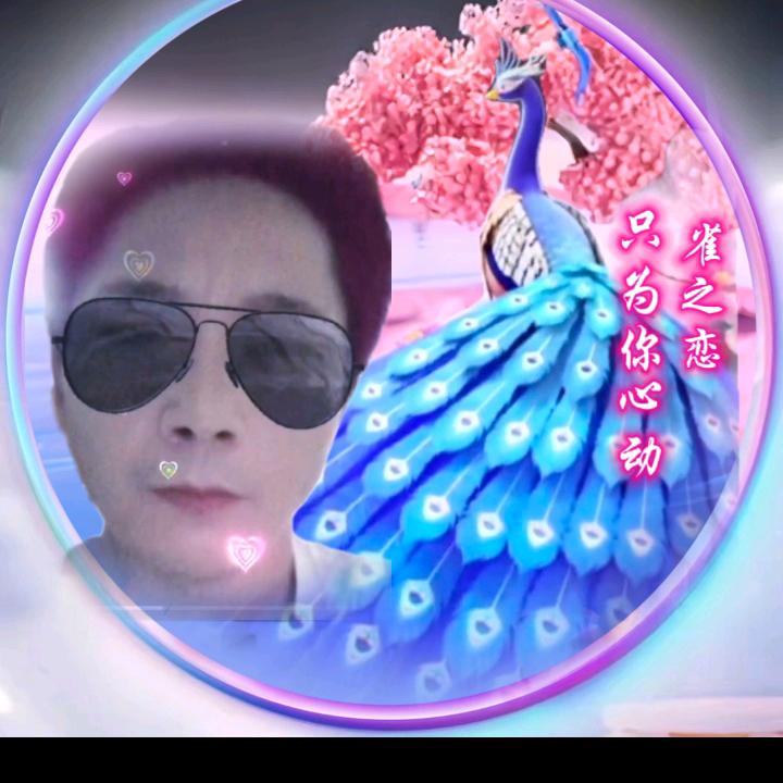 苍天不解人情暖，冷眼看花尽是悲