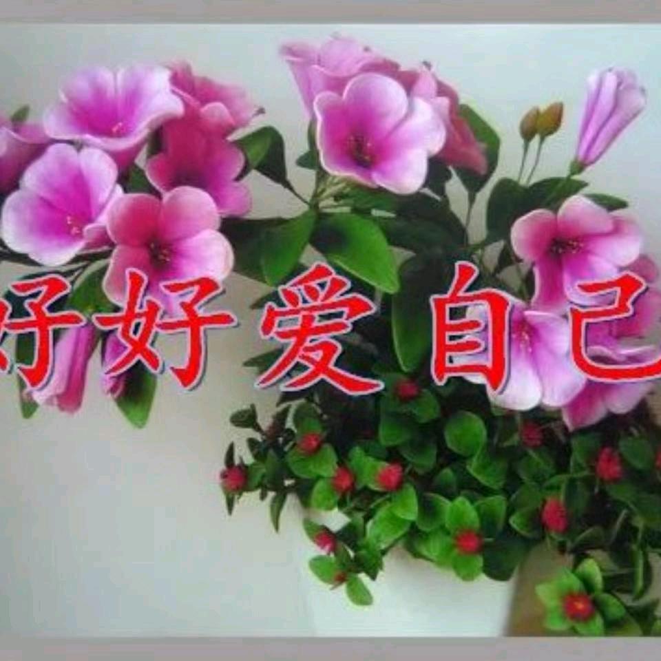 李家二姐🍎🍎🍎