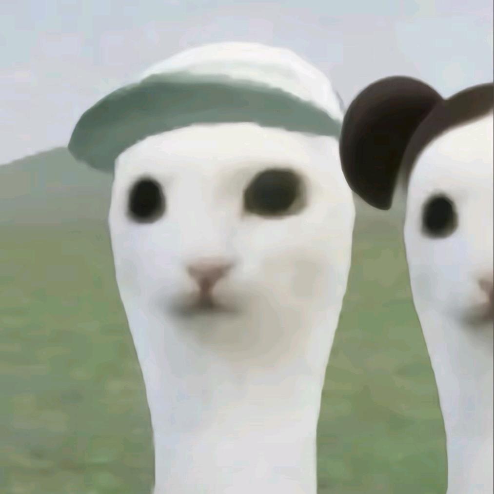 红豆沙啊啊