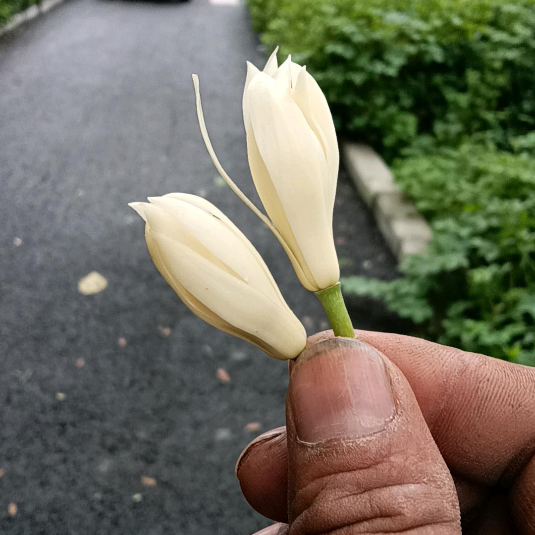 😊㊧㿝氼㊨😊