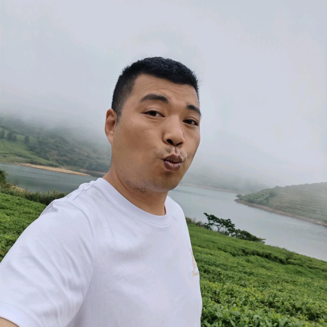 泰哥归来