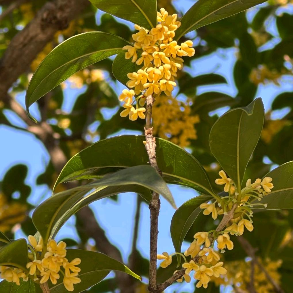 宁德琳姐聊金融