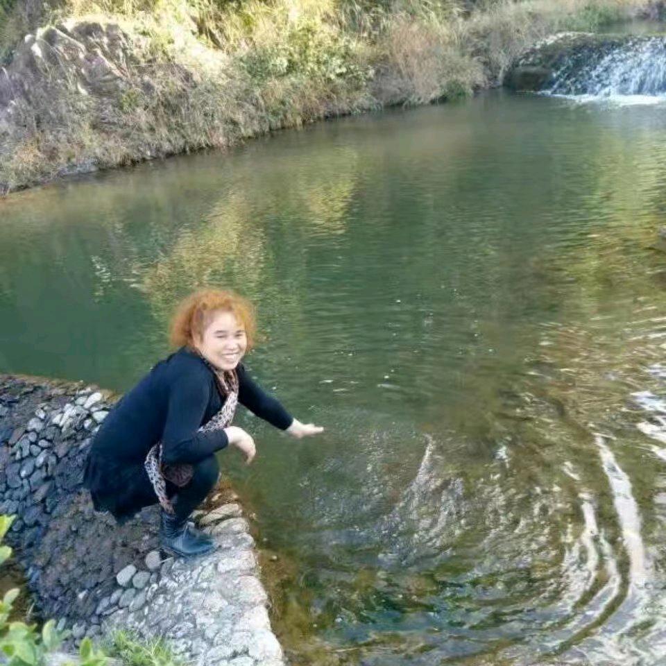 李小琴