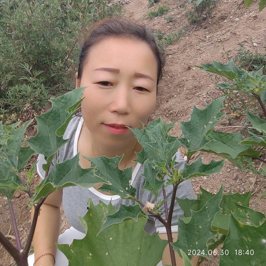 ℳ̶̶̶̶♡̶҉可乐加冰ღ᭄ℳ
