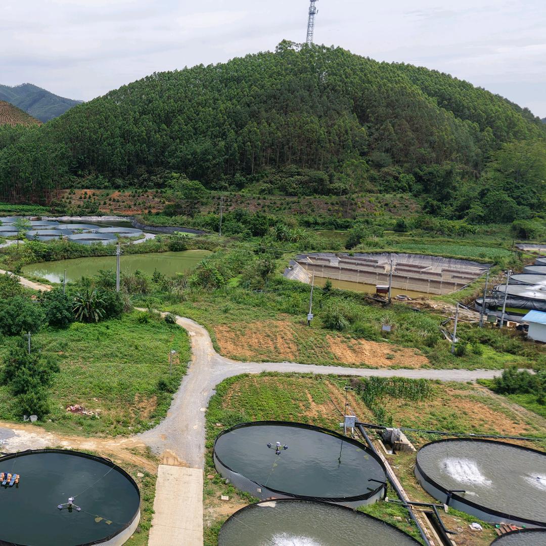 🍁🍁🍁无心🍁🍁🍁