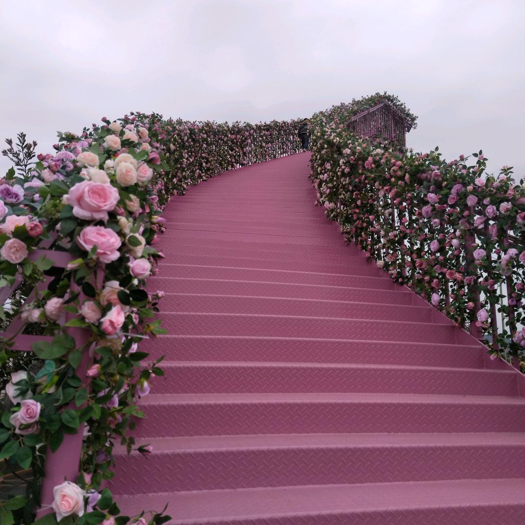 💞雨露💞
