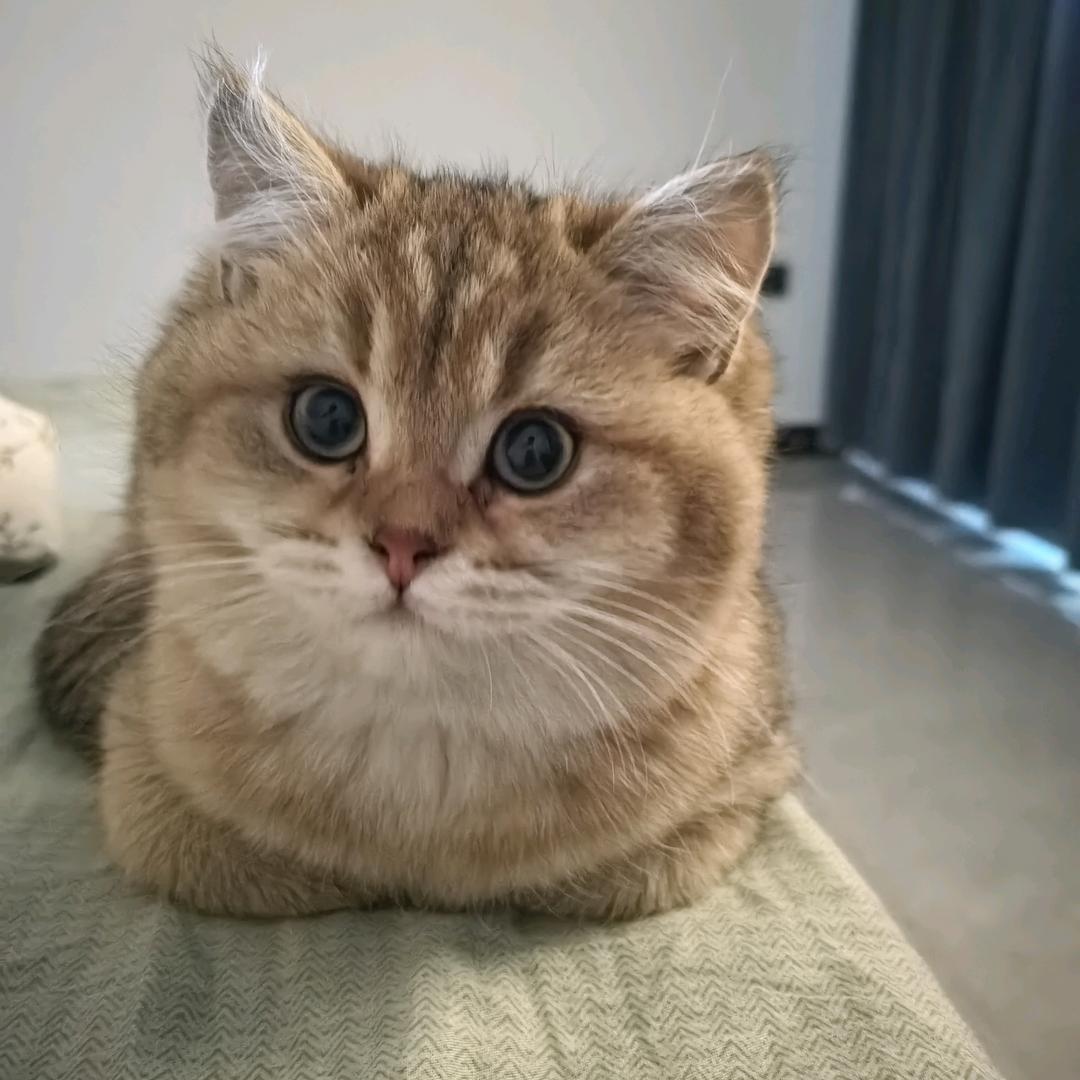 江南