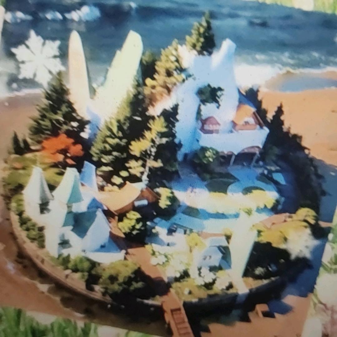 琴琴姐。，。，