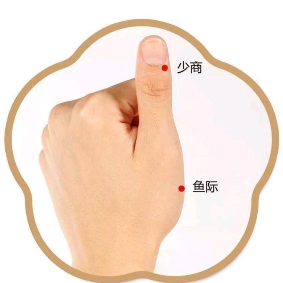 经络通