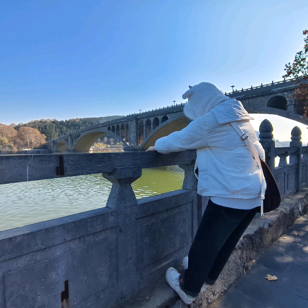 大大航下士•᷄ࡇ•᷅