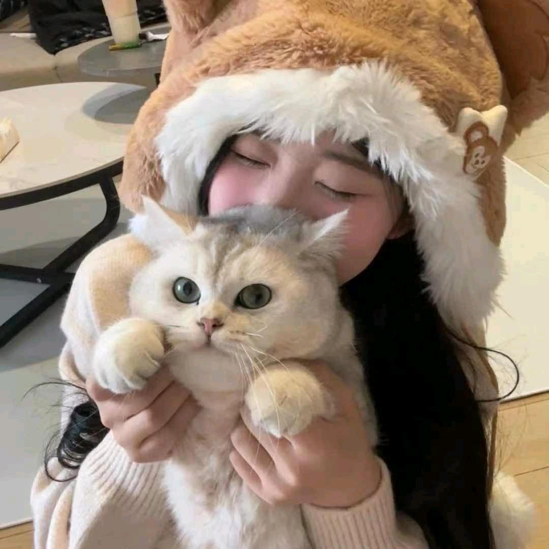 鱼