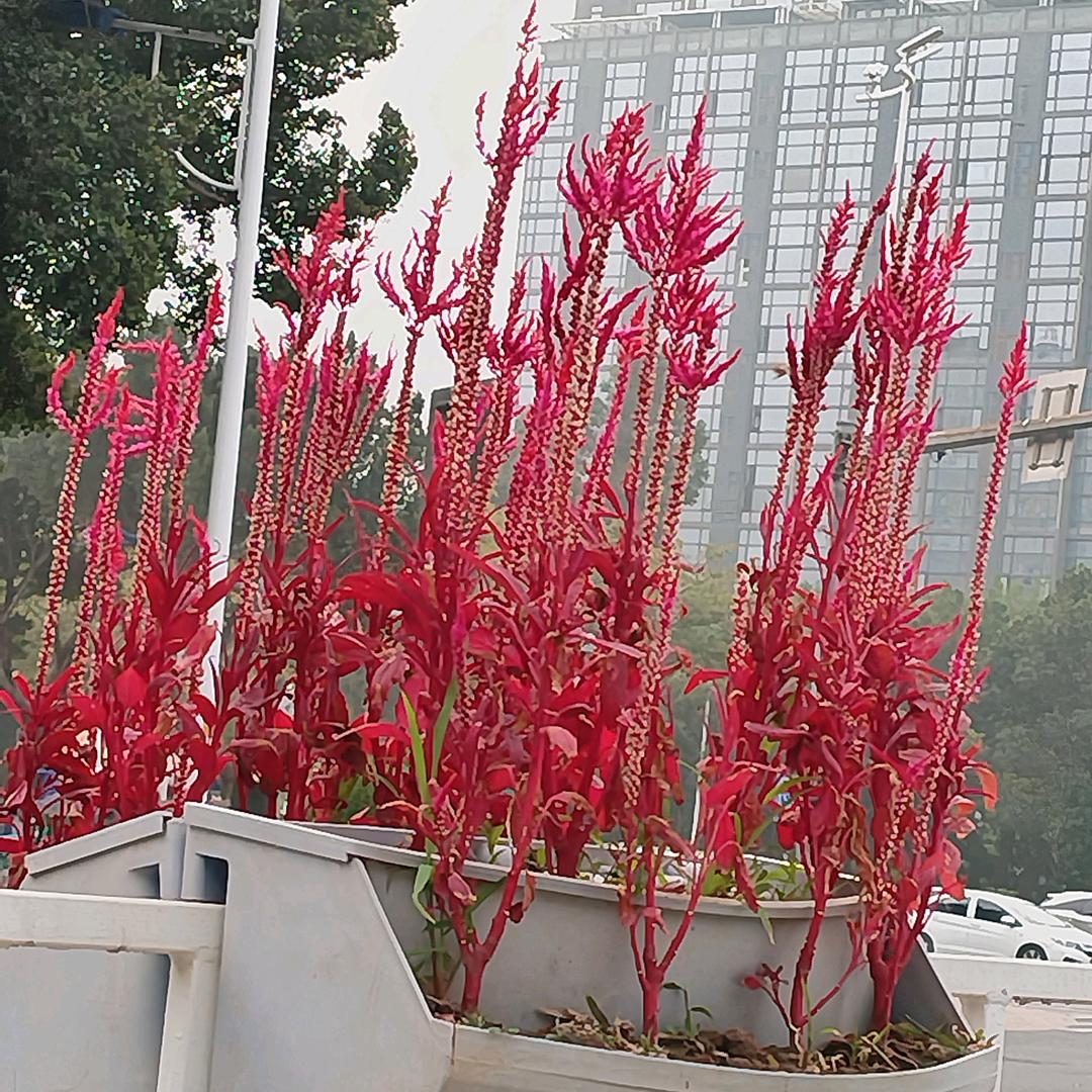 a小小刘家