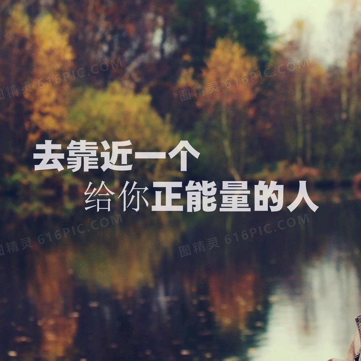 散养鲜猪肉批发