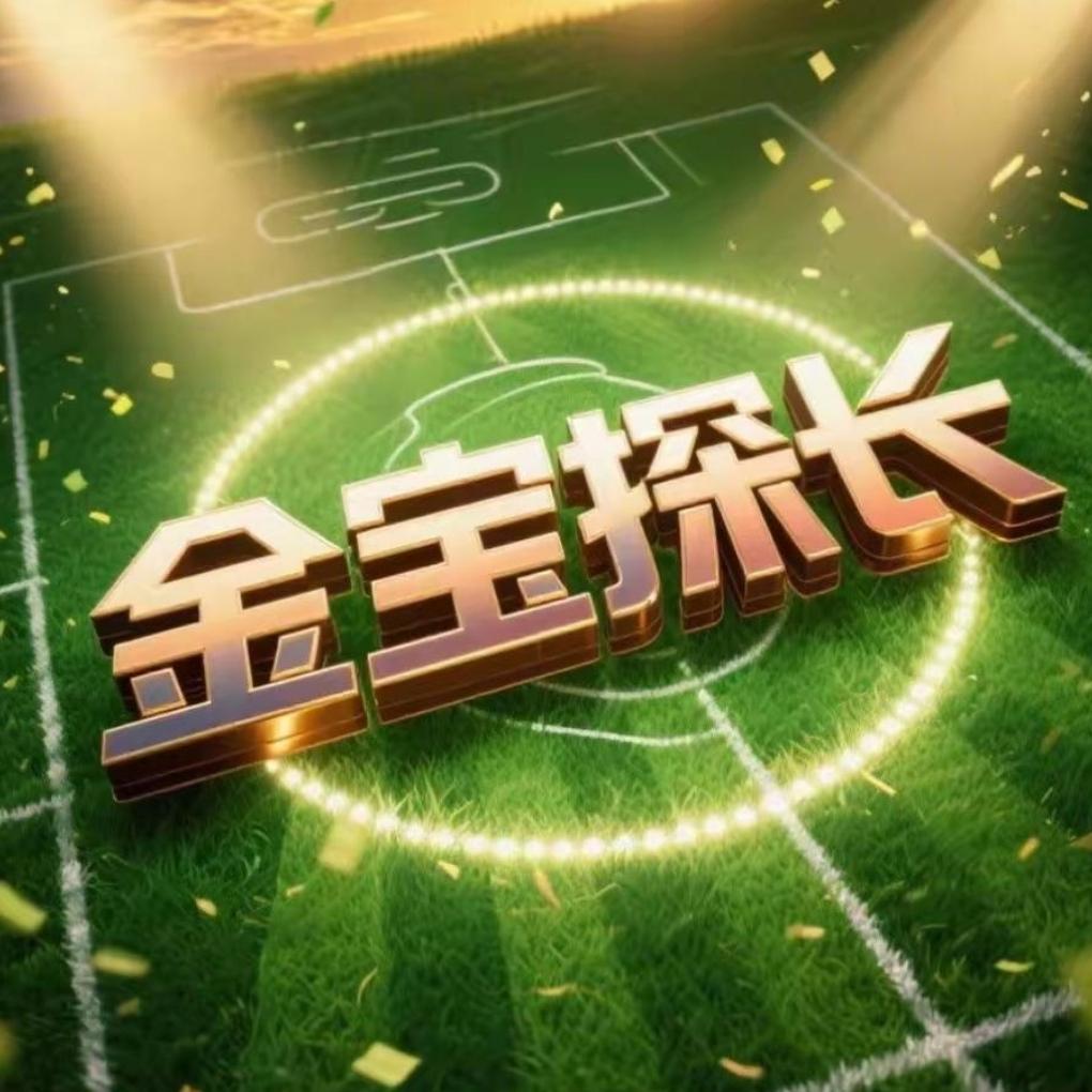金宝探长C